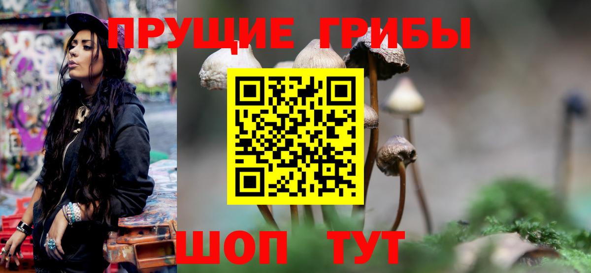 Галлюциногенные грибы Psilocybine cubensis  Вход с VPN  наркошоп  Курганинск  Галлюциногенные грибы Psilocybe 