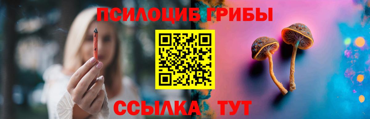 Псилоцибиновые грибы мухоморы Курганинск